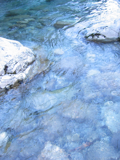 River through Arthur's Pass