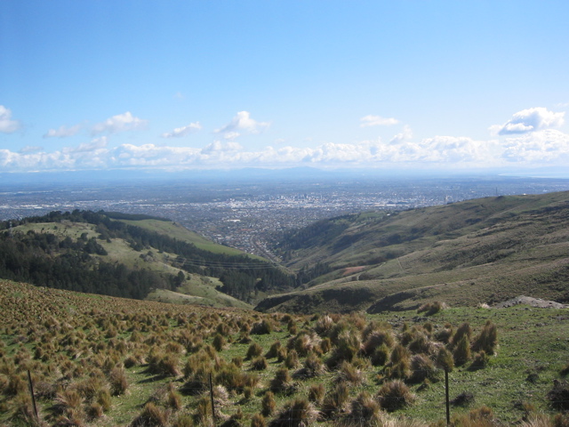 View over Christchurch