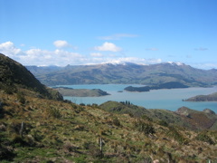 View from above Christchurch