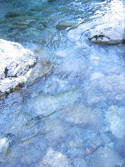 River through Arthur's Pass