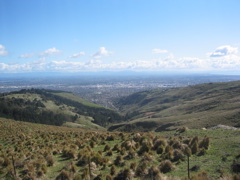 View over Christchurch