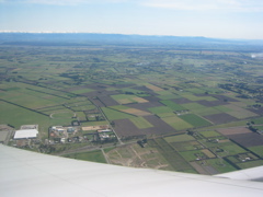 The NZ landscape