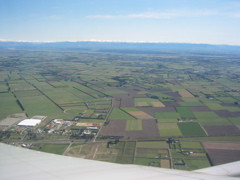 The NZ landscape