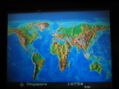 In flight GPS world map
