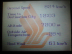 In flight stats