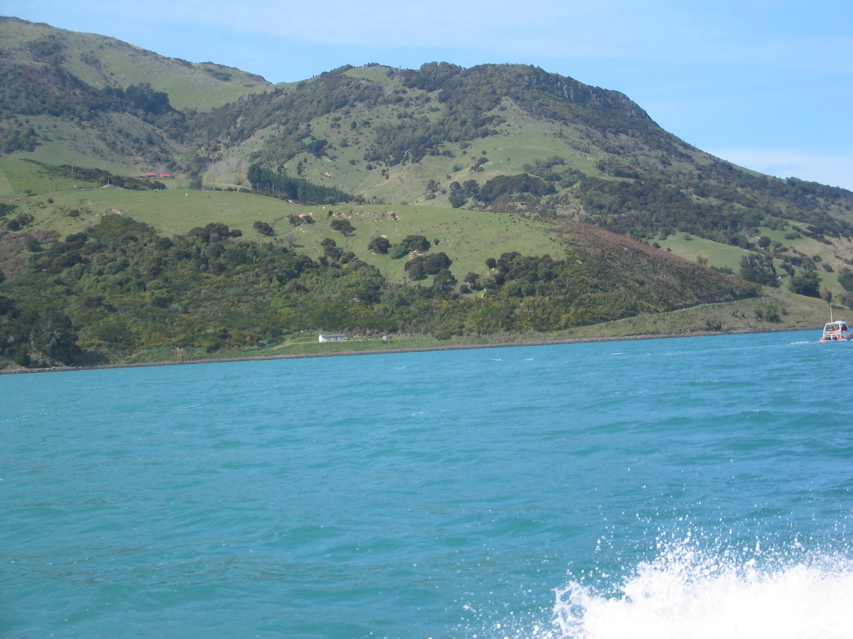 Akaroa scenery