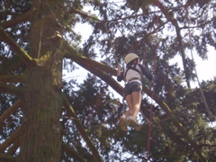 Lucy high above on the high ropes course