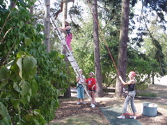 Amy climbs the ladder and has a go at Trapeze