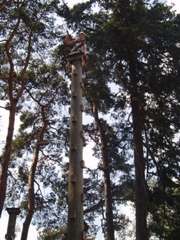 Zoe has a go on the Trapeze too