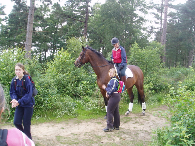 Jessica tries her hardest to "borrow" a horse.