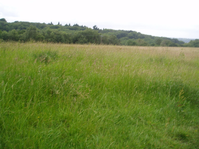 We walked across this field to the finish.