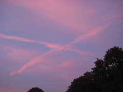 Dominic noticed this in the sky about our campsite.