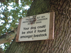 Luckily we didn't bring any dogs...!